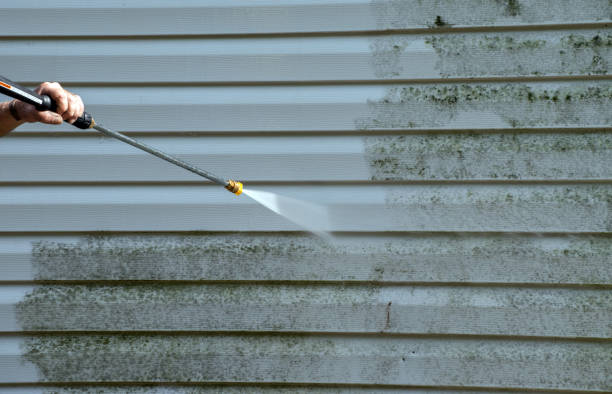 Best Residential Pressure Washing Services  in Willows, CA